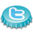 Twitter Button